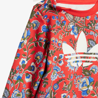 ADIDAS Treninguri CREW SET 