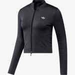 ADIDAS Hanorace SEAMLESS TT 
