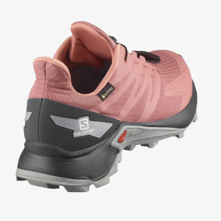 SALOMON Pantofi Sport SUPERCROSS BLAST GTX W 