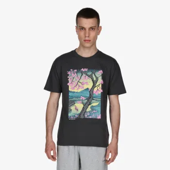 NEW BALANCE Tricouri AT GRAPHIC 