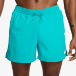 NIKE Sorturi inot 5