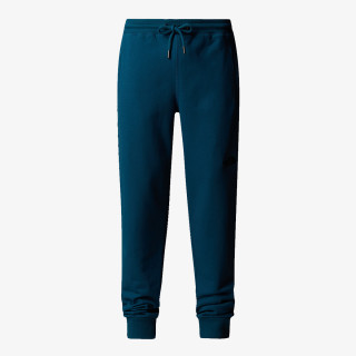 THE NORTH FACE Pantaloni M NSE PANT 