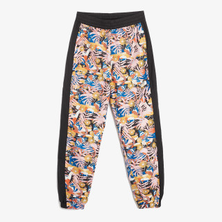 THE NORTH FACE Pantaloni de trening W P HYDRNLNE PNT TNFBINTLWCLNPRT 