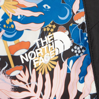 THE NORTH FACE Pantaloni de trening W P HYDRNLNE PNT TNFBINTLWCLNPRT 
