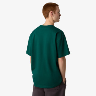 THE NORTH FACE Tricouri M RedBox S/S Tee 
