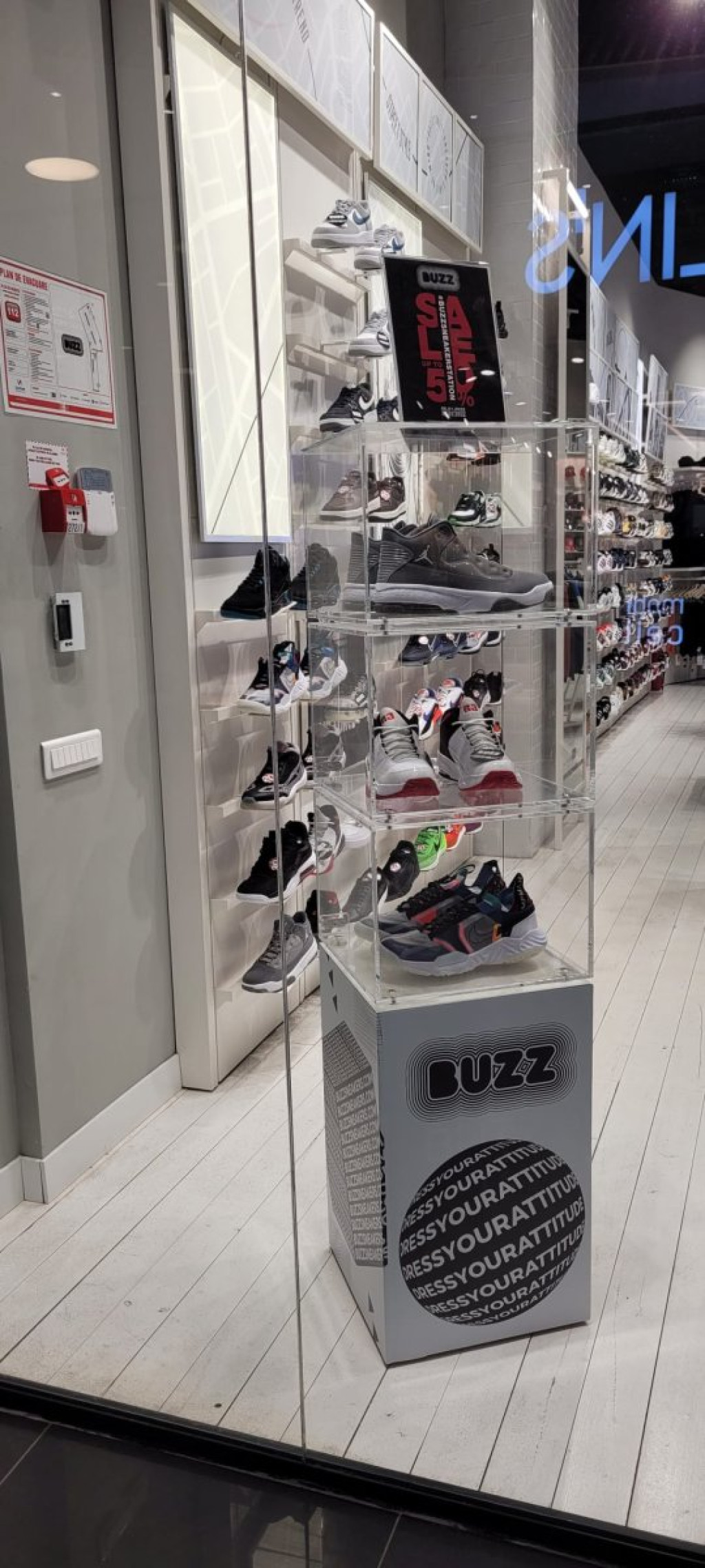 B-MS - Buzz Targu Mures